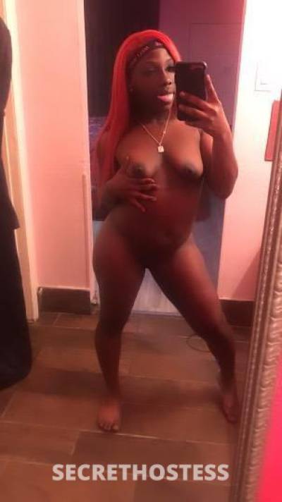 25Yrs Old Escort Dallas TX Image - 1