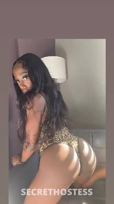 Diamond 19Yrs Old Escort 162CM Tall Fort Lauderdale FL Image - 2