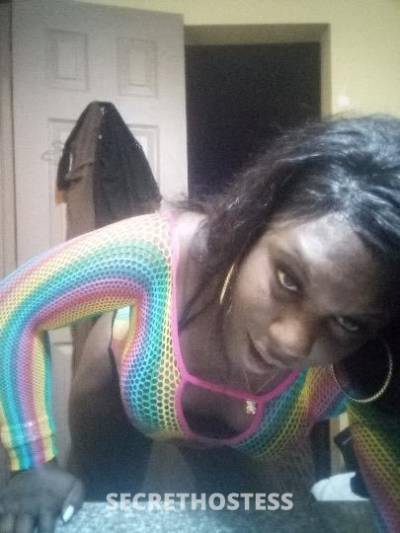 Hotchocolate 30Yrs Old Escort Augusta GA Image - 2