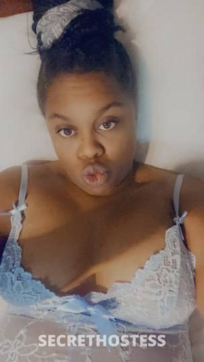 Rozay 22Yrs Old Escort Oakland CA Image - 0