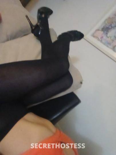 Cassie 38Yrs Old Escort Ann Arbor MI Image - 7