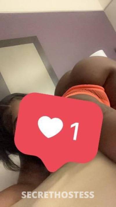 25Yrs Old Escort Norfolk VA Image - 2