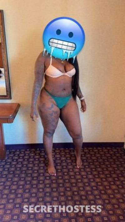 Ashley 25Yrs Old Escort Grand Rapids MI Image - 4