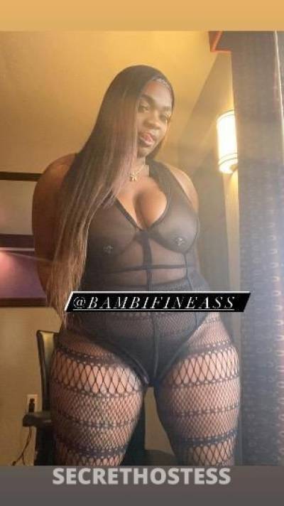 Bambi 27Yrs Old Escort Detroit MI Image - 0