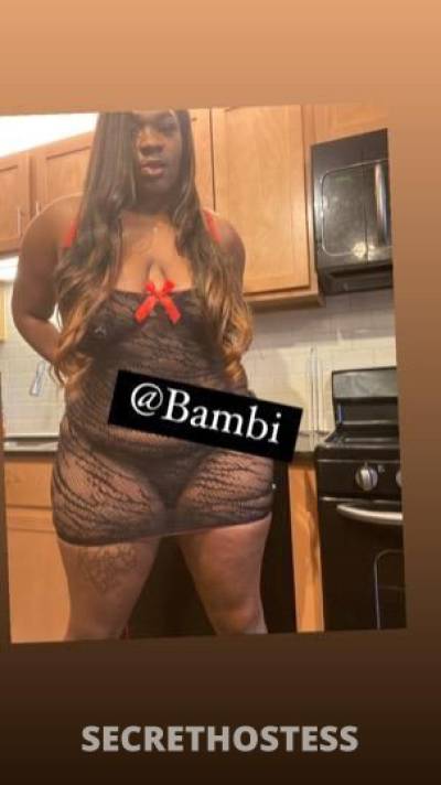 Bambi 27Yrs Old Escort Detroit MI Image - 3