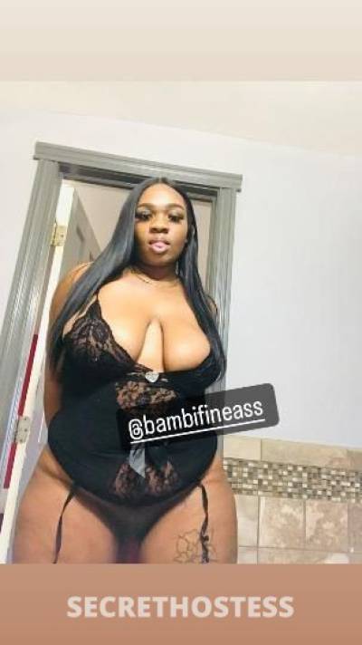 Bambi 27Yrs Old Escort Detroit MI Image - 5