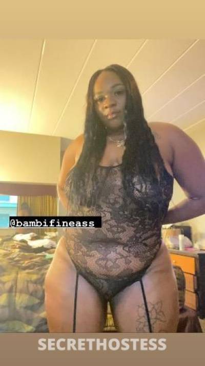 Bambi 27Yrs Old Escort Detroit MI Image - 7