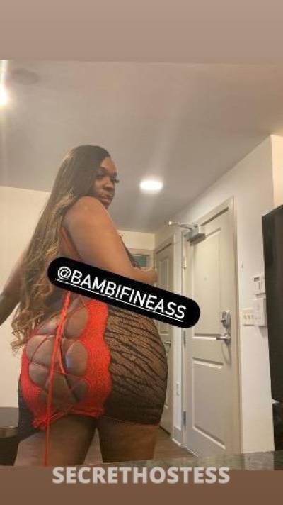 Bambi 27Yrs Old Escort Detroit MI Image - 8