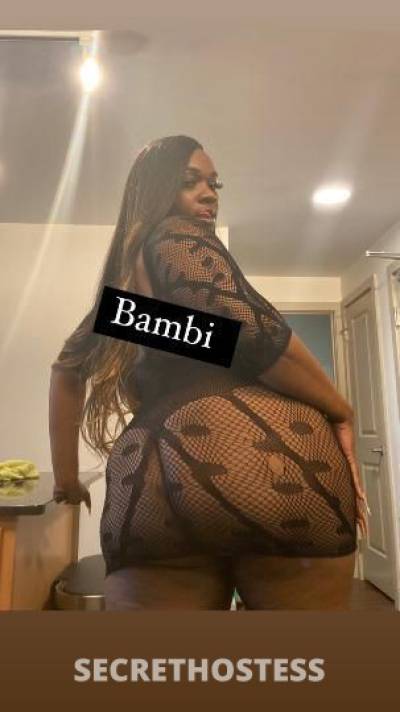 Bambi 27Yrs Old Escort Detroit MI Image - 10