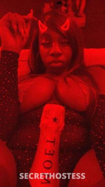 Bunnie 29Yrs Old Escort Brooklyn NY Image - 6