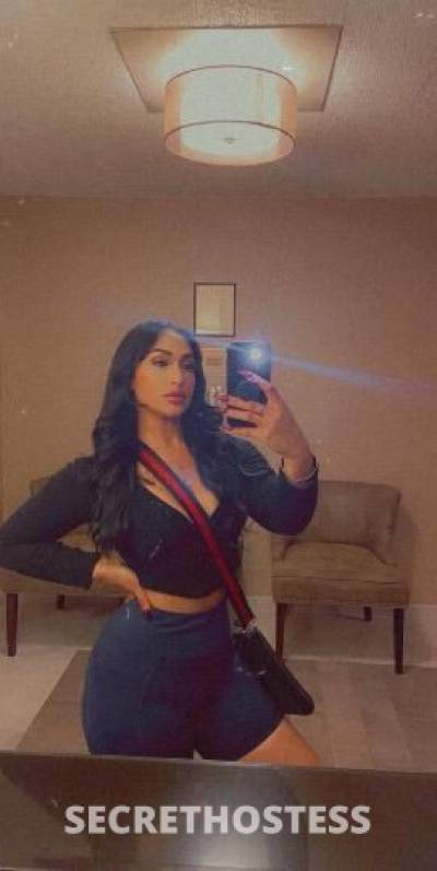 Chanel 26Yrs Old Escort San Diego CA Image - 5