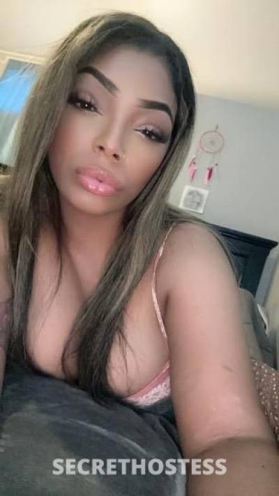 ChloeWestCoast 26Yrs Old Escort Billings MT Image - 1