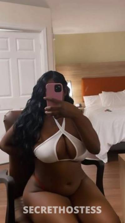 Godiva 21Yrs Old Escort Lexington KY Image - 1