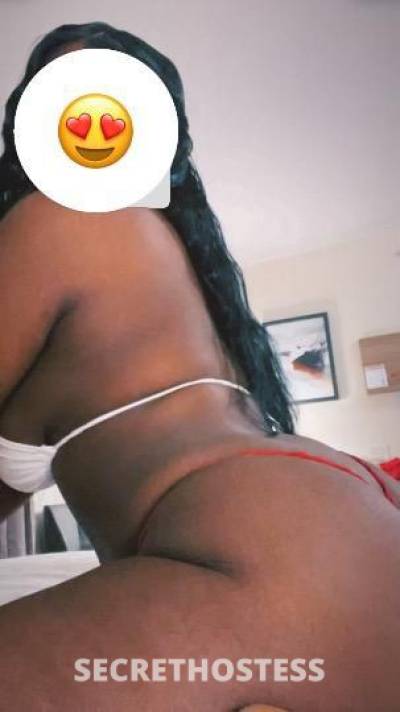 Godiva 21Yrs Old Escort Lexington KY Image - 2