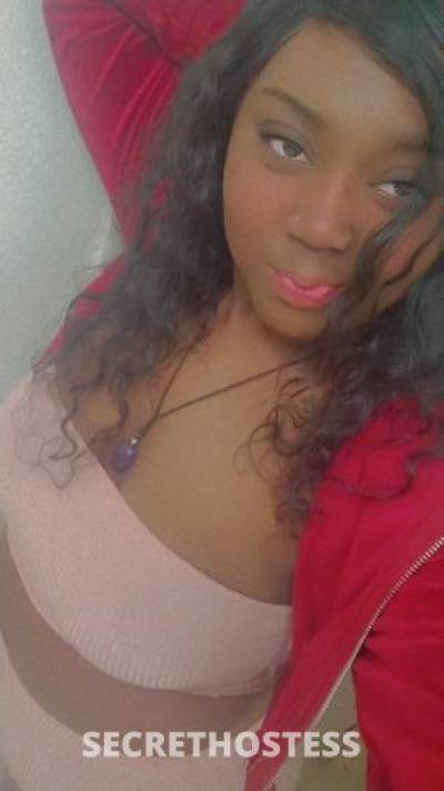 31 year old American Escort in Bakersfield CA Taste of honey