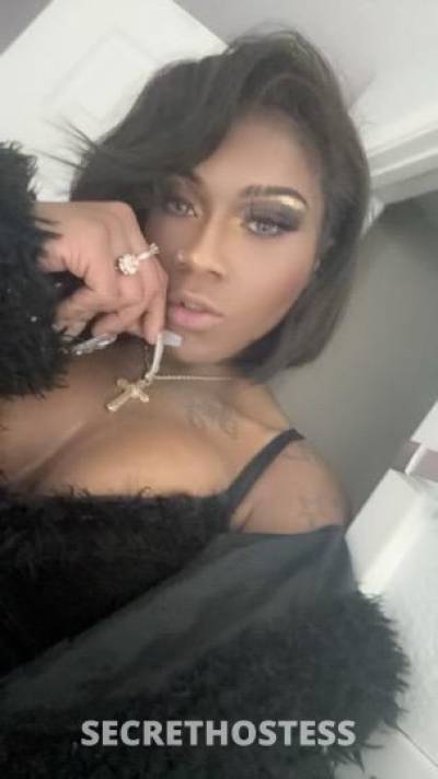 Kash 25Yrs Old Escort Hattiesburg MS Image - 6