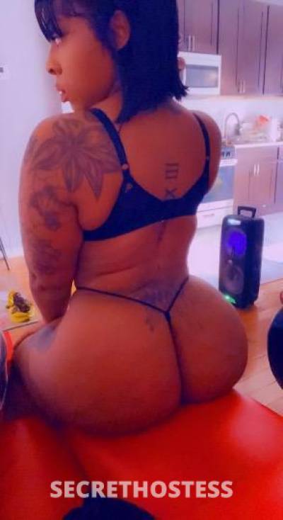 Kitty 29Yrs Old Escort Bronx NY Image - 4