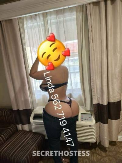 LINDA 24Yrs Old Escort Los Angeles CA Image - 3