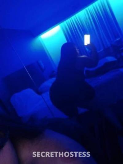 Lala 27Yrs Old Escort 172CM Tall Westchester NY Image - 5