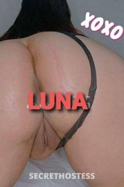 LuNA 25Yrs Old Escort Toronto Image - 0