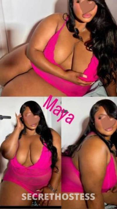 Maya 25Yrs Old Escort North Bay CA Image - 2