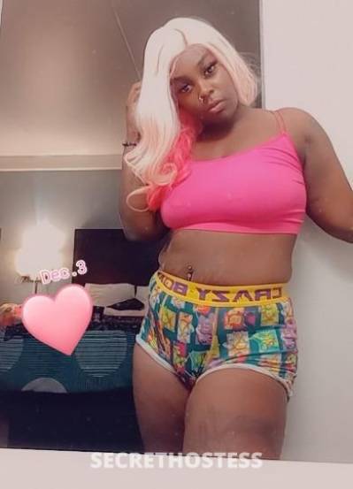 MystiiReign 27Yrs Old Escort Birmingham AL Image - 5