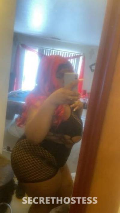 jazzie 23Yrs Old Escort Toledo OH Image - 6