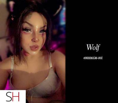 WOLF Your KINK FRIENDLY 20 Something BRUNETTE FUN SIZED C's  in City of Edmonton
