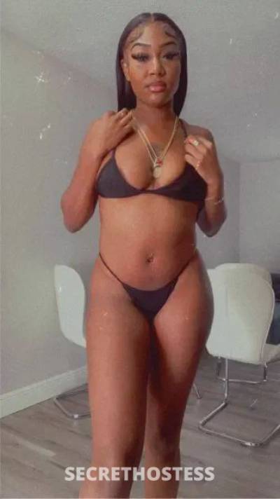 24Yrs Old Escort 172CM Tall West Palm Beach FL Image - 1