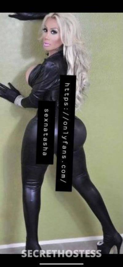 25Yrs Old Escort 200CM Tall San Buenaventura CA Image - 7