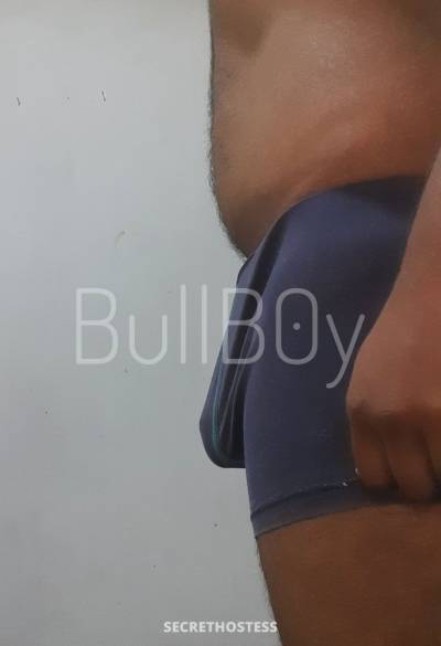 23Yrs Old Escort 77KG 187CM Tall Colombo Image - 6