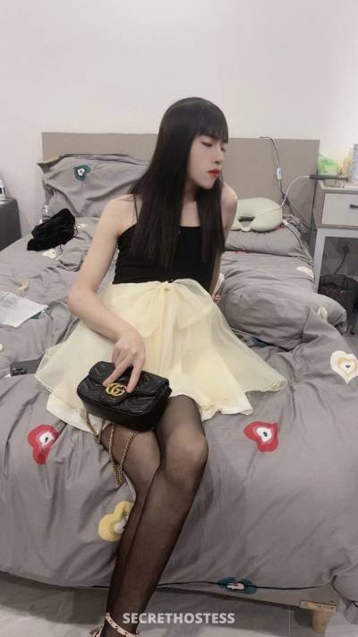 Coco女王, Transsexual escort in Hong Kong
