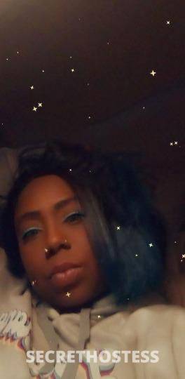 Nikki 33Yrs Old Escort Little Rock AR Image - 1
