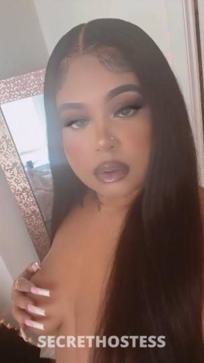 Amilliana 23Yrs Old Escort Phoenix AZ Image - 10