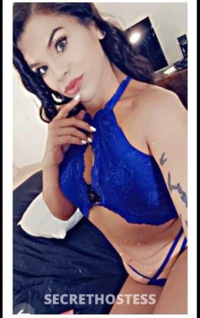 Bianca 29Yrs Old Escort Oakland CA Image - 6