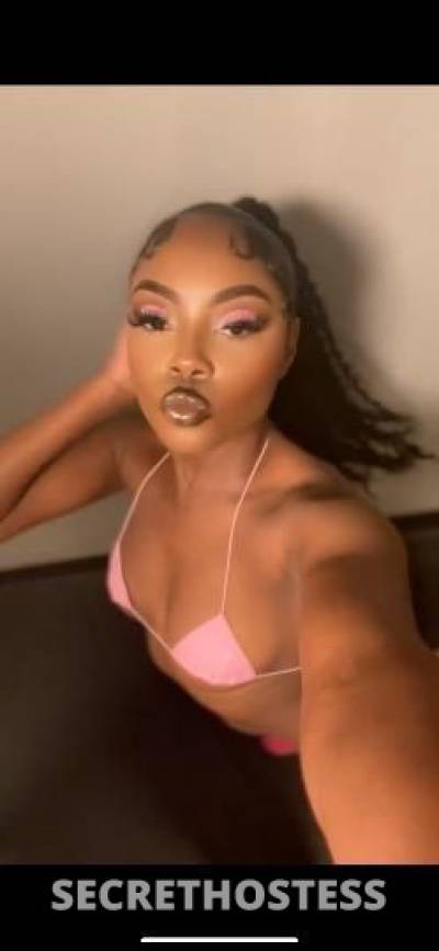 Chocolate 21Yrs Old Escort New York City NY Image - 0