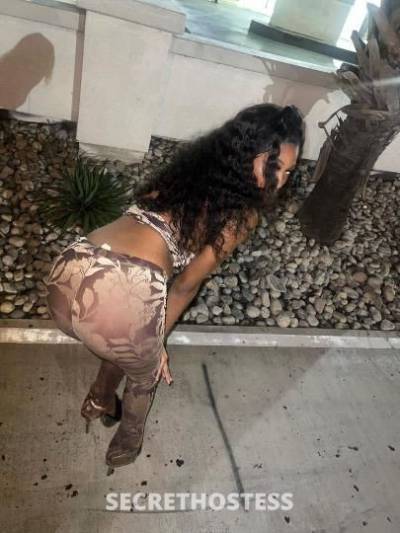 DreamyCreamy🍦💭 19Yrs Old Escort 175CM Tall Biloxi MS Image - 3