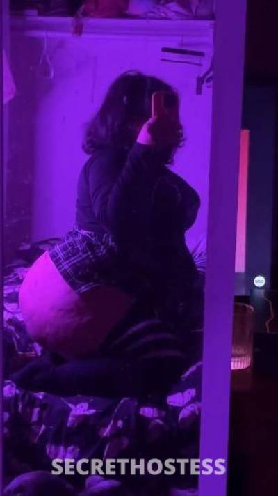 Maya 22Yrs Old Escort Santa Cruz CA Image - 3