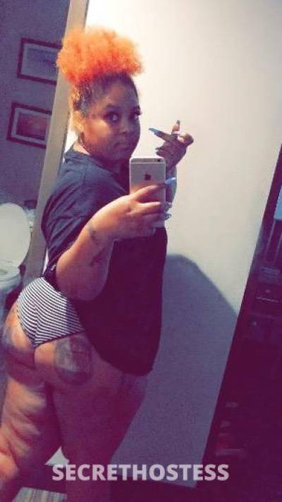 Moniece 28Yrs Old Escort Tampa FL Image - 3