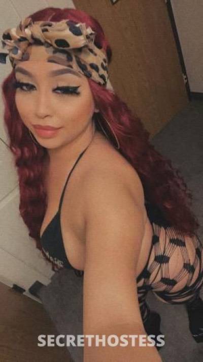 26 year old Italian Escort in San Fernando Valley CA .Hot Italian Latina waiting to meet