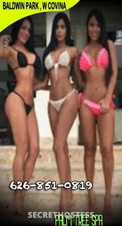 PALM TREE SPA 25Yrs Old Escort San Gabriel Valley CA Image - 2