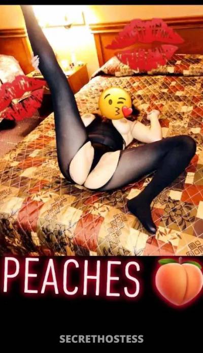 Peaches  🌟 24Yrs Old Escort Poconos PA Image - 6