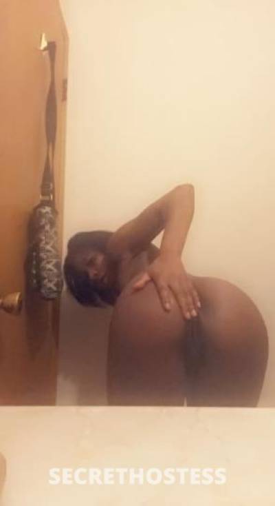 Rose 24Yrs Old Escort Saint Louis MO Image - 1