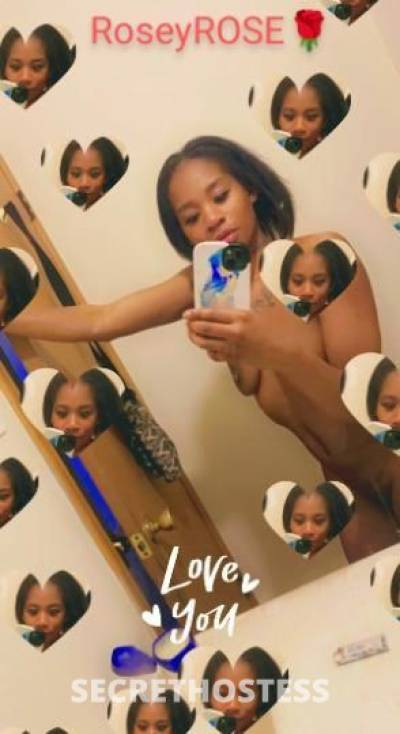 Rose 24Yrs Old Escort Saint Louis MO Image - 3