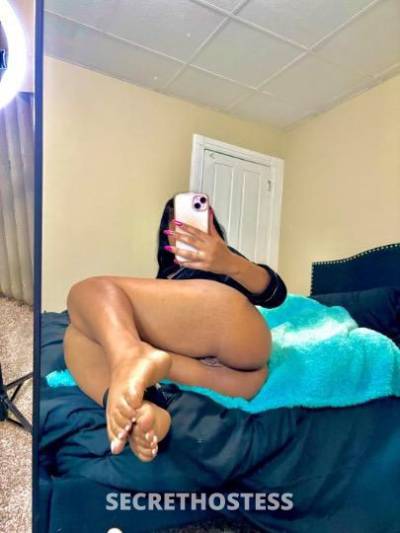 Sasha 21Yrs Old Escort Miami FL Image - 2