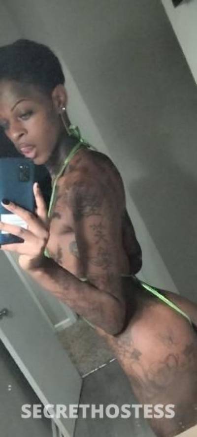 TSA'Niyah 26Yrs Old Escort Biloxi MS Image - 0