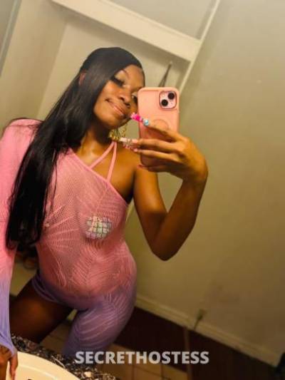 Tink 24Yrs Old Escort San Fernando Valley CA Image - 2