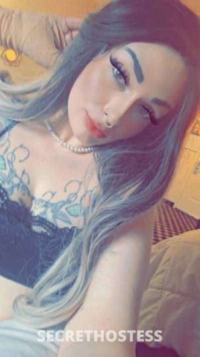 Vivi 26Yrs Old Escort Colorado Springs CO Image - 10