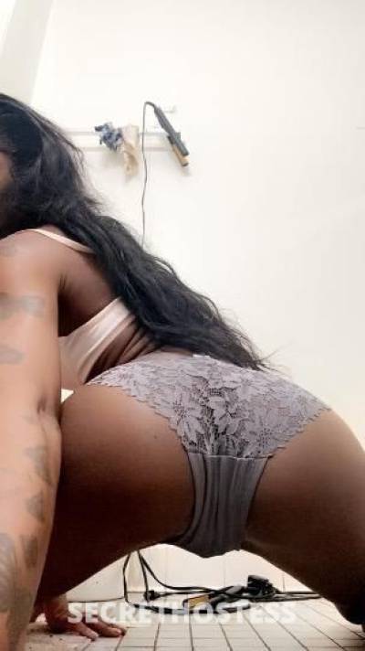 21Yrs Old Escort 162CM Tall Chicago IL Image - 1