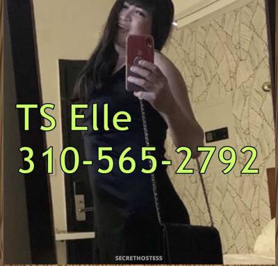 23 year old Asian Escort in San Diego CA .️.️. asian lady boy .️.️ or real girl .️.️ 